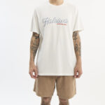 REMERA TEE HAWAIAN BEACHES