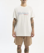 REMERA TEE HAWAIAN BEACHES